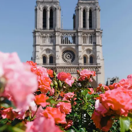 Cozy Appartement - 2Br-4P - Cathedrale De Notre Da Paris Exterior photo